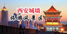 干白虎妹中国陕西-西安城墙旅游风景区