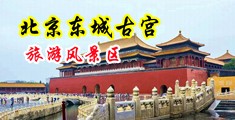 又大又粗的鸡巴视频中国北京-东城古宫旅游风景区